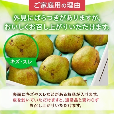 西洋梨(ラ・フランス)3kg　ご家庭用　0052-2605