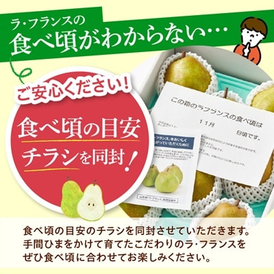 西洋梨(ラ・フランス)3kg　ご家庭用　0052-2605