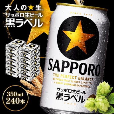 北海道恵庭工場製造サッポロ黒ラベル 350ml×24本×10箱 (計240本)