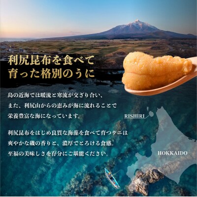 【2027年発送受付】利尻島産 天然塩水生うに300g 利尻昆布育ちの旨みウニ(100g×3)