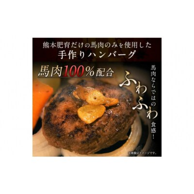 手作りハン馬ーグ 100g×10個 馬肉100%配合!【熊本肥育】