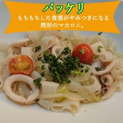 グルテンフリー ライスパスタ 3袋セット S3 (ペンネ、フジッリ、パッケリ)  G5-03