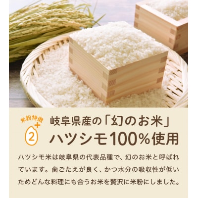 米粉500g　【岐阜県産ハツシモ米100%】SSS13