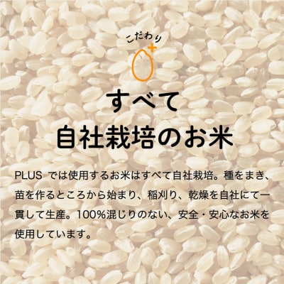 令和8年産 ハツシモ【白米】2kg (1kg×2袋) S19