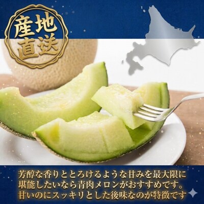 【2027年夏発送】岸田農園産 青肉メロン 3玉入り(1玉1.5kg以上)20セット限定【205】