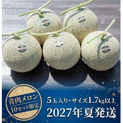 【2027年夏発送】岸田農園産　青肉メロン 5玉入り(1玉1.7kg以上)10セット限定【206】