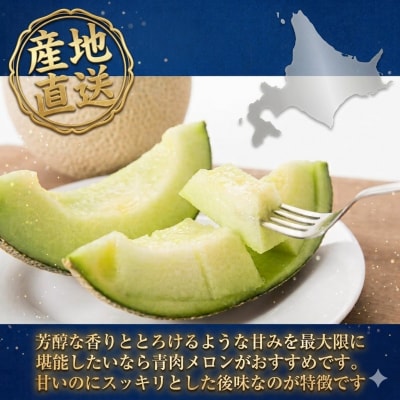 【2027年夏発送】岸田農園産　青肉メロン 5玉入り(1玉1.7kg以上)10セット限定【206】