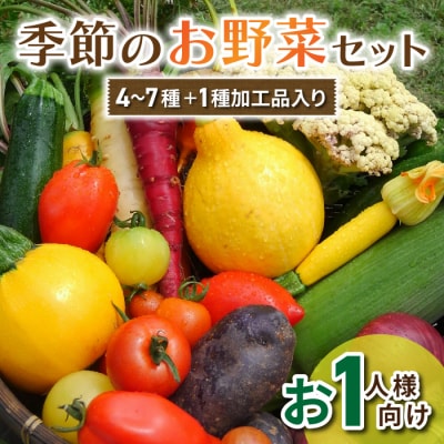【アグロノーム】お一人様向け、お試し季節のお野菜セット(加工品入り)