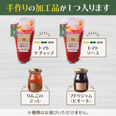 【アグロノーム】お一人様向け、お試し季節のお野菜セット(加工品入り)