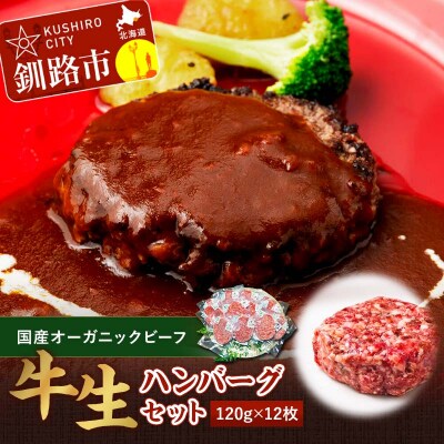 生ハンバーグ120g×12枚 釧路生まれ、釧路育ちのオーガニックビーフ 牛肉 F4F-3500
