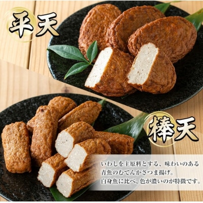 寺田屋 手作りさつま揚げ 白身魚・青魚のつけ揚げ 味比べセット