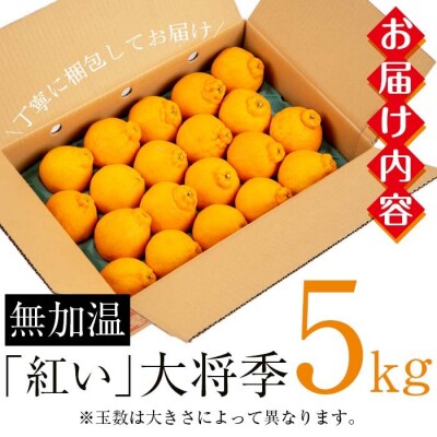 【先行受付・1月中旬頃～発送】JAさつま日置いちき串木野産無加温大将季 約5kg