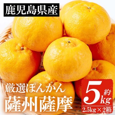 <先行予約>【数量・期間限定】本格貯蔵 ぽんかん薩州薩摩 約5kg 化粧箱入り