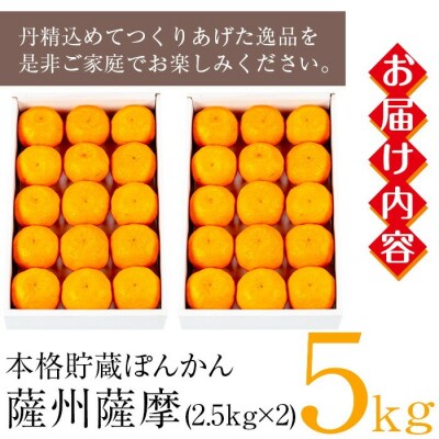 <先行予約>【数量・期間限定】本格貯蔵 ぽんかん薩州薩摩 約5kg 化粧箱入り