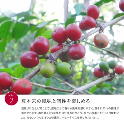 ライトローストコーヒー3種セット　各30g×3種