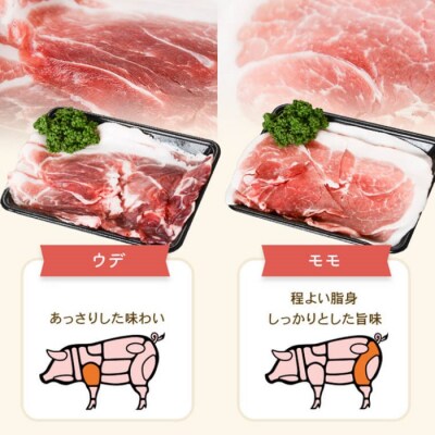 【訳あり】薩摩八重ファームのかごしま黒豚切り落とし2kg SDGs未来都市薩摩川内 ss1692