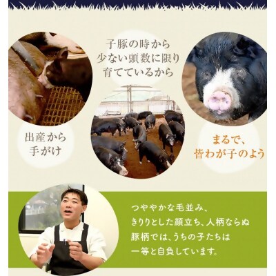 かごしま黒豚ウデ肉スライス 500g 株式会社薩摩八重ファーム ss1693