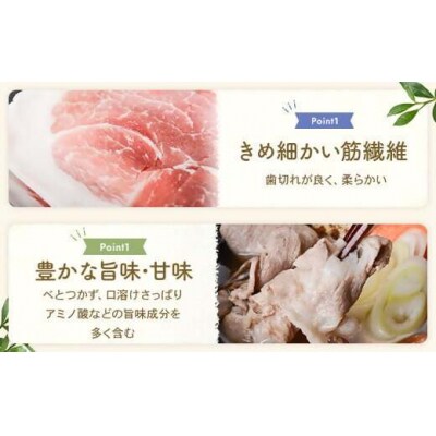 かごしま黒豚ウデ肉スライス 500g×3回定期便 ss1694-A
