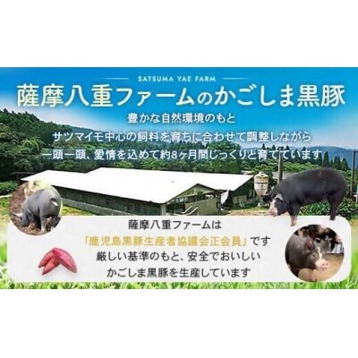かごしま黒豚ウデ肉スライス 500g×3回定期便 ss1694-A