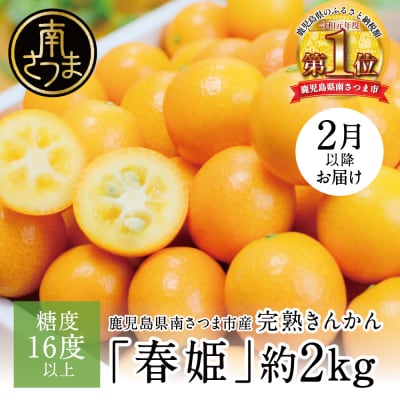 【2027年2月発送開始】鹿児島県産ブランドきんかん「春姫」 約2kg