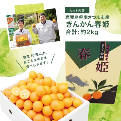 【2027年2月発送開始】鹿児島県産ブランドきんかん「春姫」 約2kg