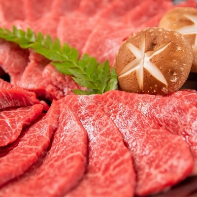 宮崎和牛 齋藤牛 【計約900g】焼肉&ホルモン ファミリーセット[2254]