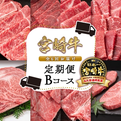 【6ヶ月定期便】内閣総理大臣賞4連覇!宮崎牛 焼肉 すき焼き しゃぶしゃぶ ステーキB [2792]