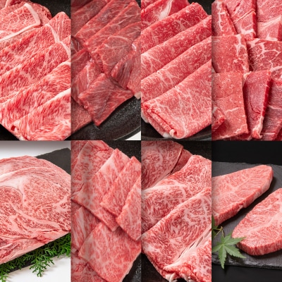 【6ヶ月定期便】内閣総理大臣賞4連覇!宮崎牛 焼肉 すき焼き しゃぶしゃぶ ステーキB [2792]