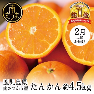 【2027年2月中旬発送開始】鹿児島県産 たんかん 約4.5kg フルーツ 柑橘 果物