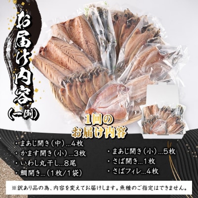 <訳あり>干物お楽しみBOX (25尾以上:隔月3回)