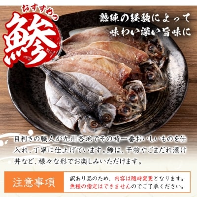 <訳あり>干物 バラエティセット (8種) 