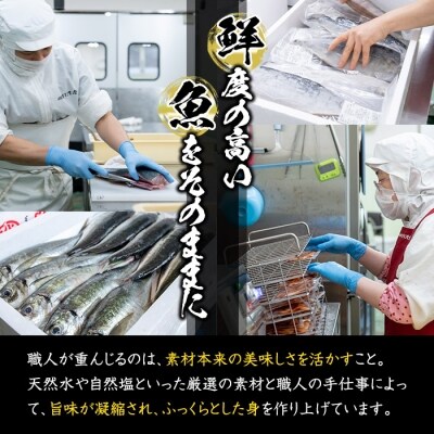 訳あり 干物 バラエティセット (8種:隔月3回) 