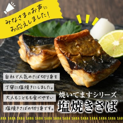 < 訳あり > 塩焼きサバ 切り身(計22切・2切入り×11袋) 【DL24】【鶴見食賓館】