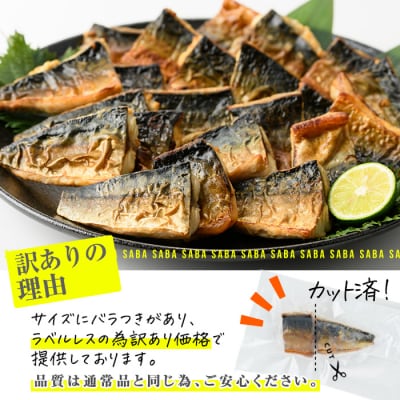 < 訳あり > 塩焼きサバ 切り身(計22切・2切入り×11袋) 【DL24】【鶴見食賓館】