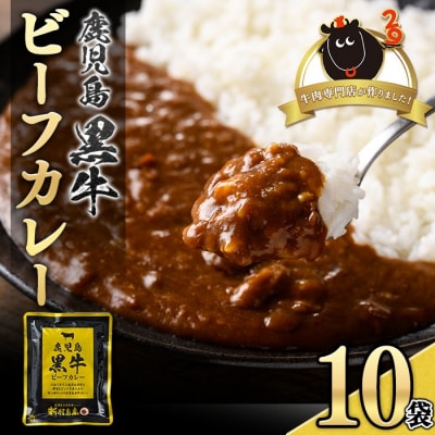 鹿児島黒牛 レトルト ビーフカレー (160g×10P)　A91018