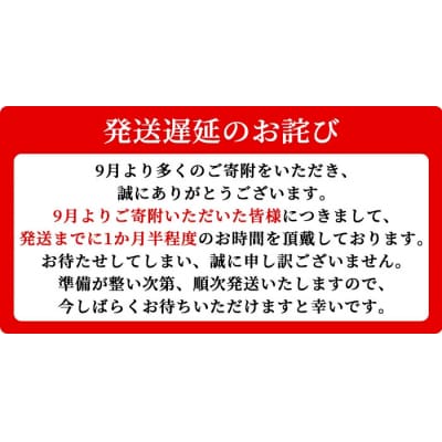 鹿児島黒牛 レトルト ビーフカレー (160g×10P)　A91018