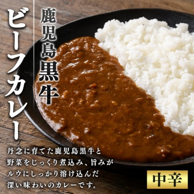 鹿児島黒牛 レトルト ビーフカレー (160g×10P)　A91018