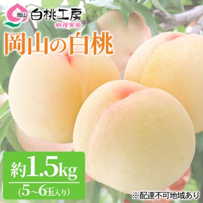 桃 白桃 1.5kg 5～6玉 もも フルーツ 果物 岡山 2027年[NO5765-0527]