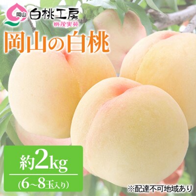 桃 白桃 2kg 6～8玉 もも フルーツ 果物 岡山 2027年[NO5765-0528]