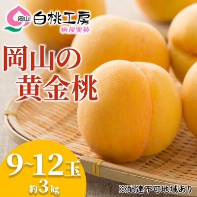 桃 黄金 桃 3kg 9～12玉 もも フルーツ 果物 岡山 2027年[NO5765-0537]
