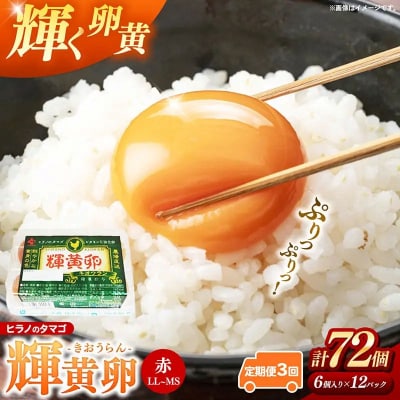 【定期便3回】ヒラノのタマゴ 輝黄卵(きおうらん)72個(6個入り×12パック)