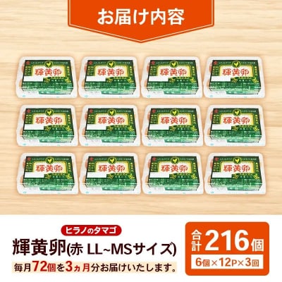 【定期便3回】ヒラノのタマゴ 輝黄卵(きおうらん)72個(6個入り×12パック)