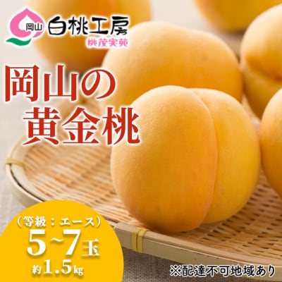 桃 黄金桃 等級 エース 約1.5kg 5～7玉入り もも 2027年[NO5765-0538]