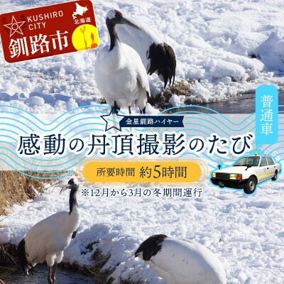 感動の丹頂撮影のたび (普通車) ※12月から3月の冬期間運行 釧路湿原 釧路市 F4F-7968