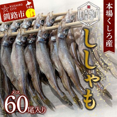 本場くしろ産 ししゃもメス60尾入り! 本ししゃも 魚 ししゃも 魚好きのメス F5F-0139
