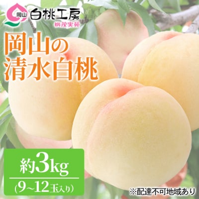 桃 清水 白桃 3kg 9～12玉 もも フルーツ 果物 岡山 2027年[NO5765-0542]