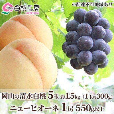 桃 清水 白桃 5玉 約1.5kg ニュー ピオーネ 1房 2027年[NO5765-0543]