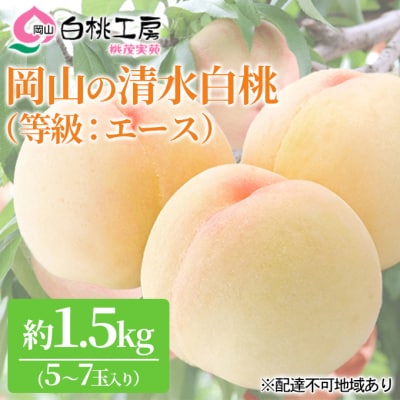 桃 清水 白桃 等級 エース 約1.5kg 5～7玉入り もも 2027年[NO5765-0545]