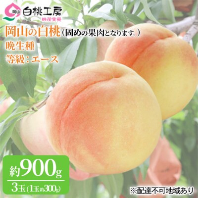 固めの桃 白桃 晩生種 3玉 約900g 1玉約300g もも 2027年[NO5765-0658]