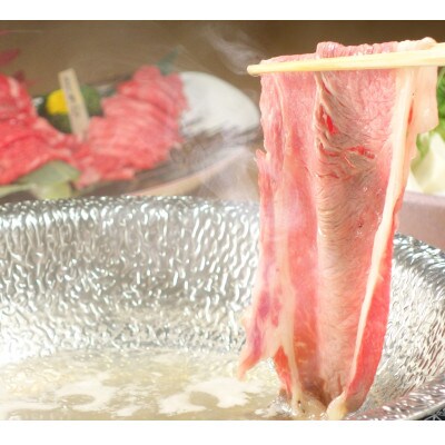 あか牛赤身モモスライスセット(あか牛モモスライス400g あか牛のたれ200ml付き)(高森町)